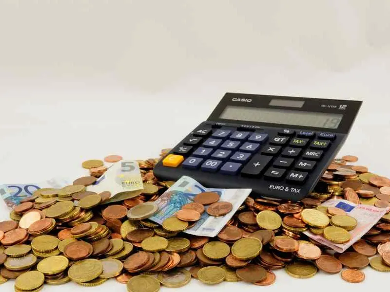 Для налога с микропредприятий единая ставка – 25%