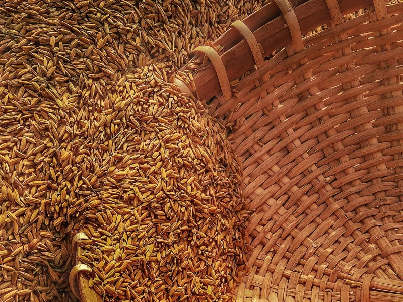 Spriedīs par Krievijas lauksaimniecības produktu importa aizliegšanu ES