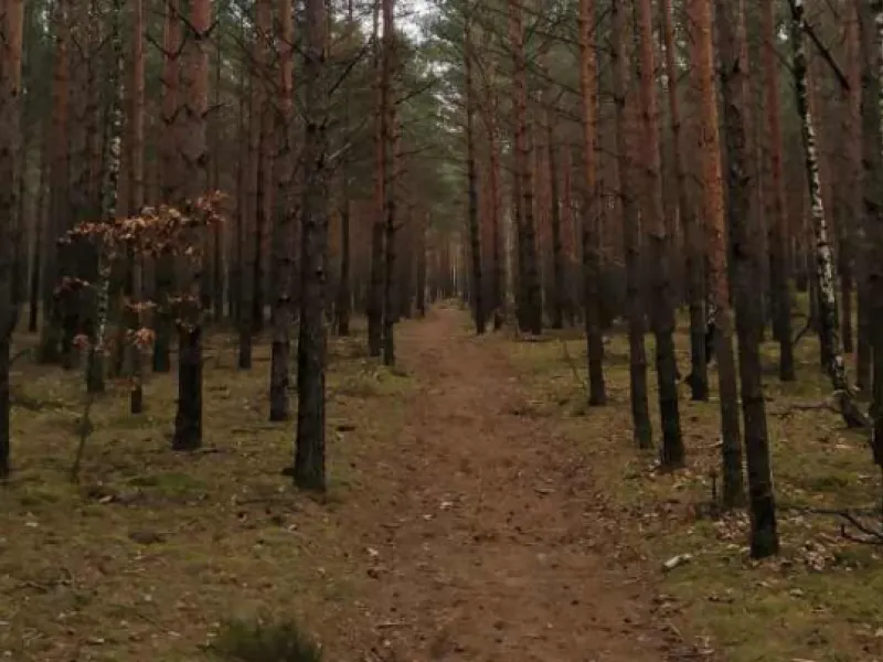 Samazināta birokrātija būvniecības procesā