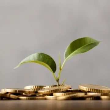 Приобретение или продажа предприятия в группе предприятий