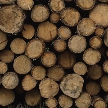 Как оформить накладную за лесоматериалы?