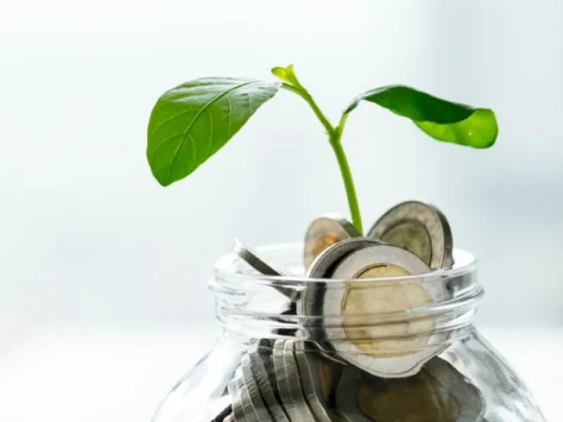 Kāpēc jāmaksā par naudu, kas glabājas bankas kontā?