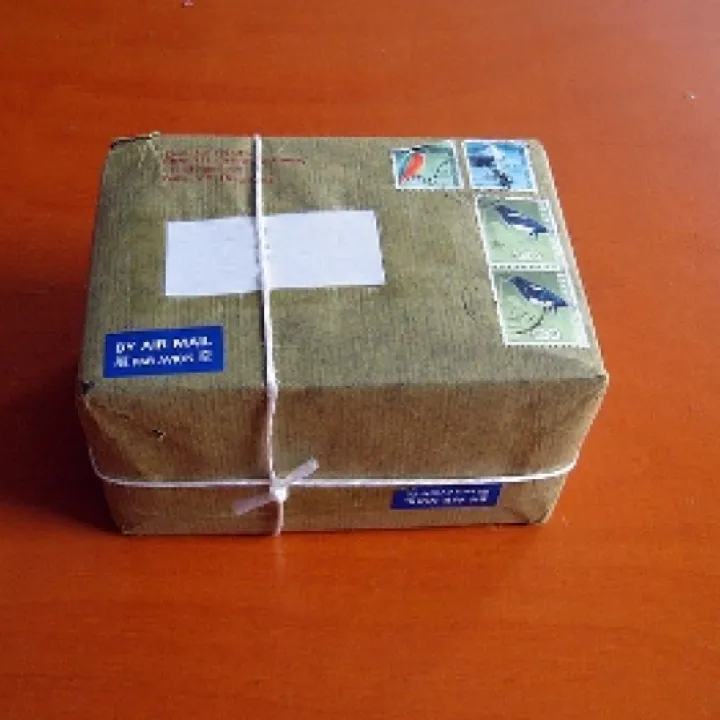 Kādi dokumenti nepieciešami, ja prece iegādāta eBay?