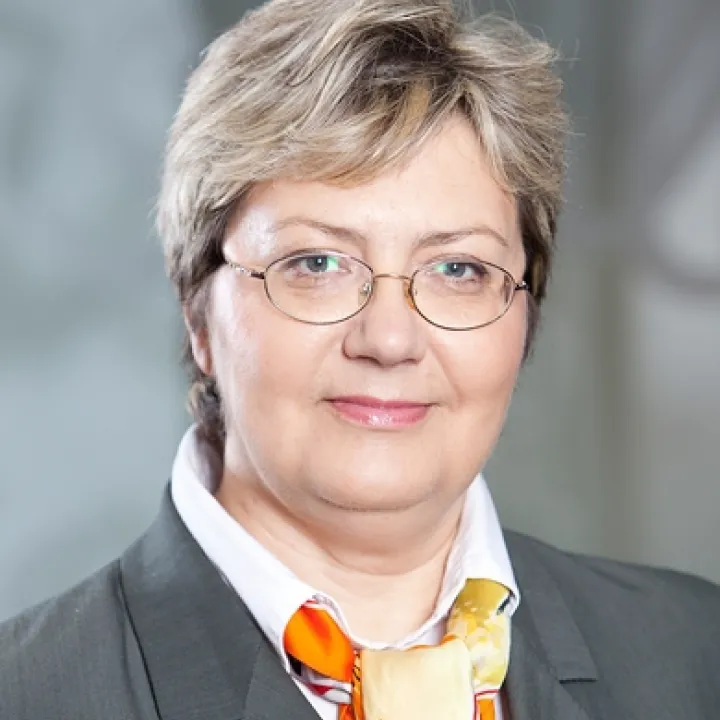 Par holdinga režīma ieviešanu Latvijā 