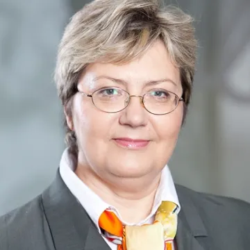 Par holdinga režīma ieviešanu Latvijā 
