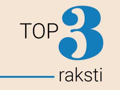 TOP 3: Cenu struktūra, pašnodarbinātība, valdes locekļa statuss