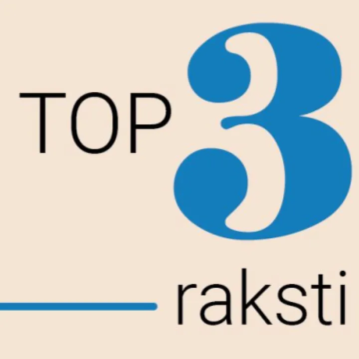 TOP 3: Cenu struktūra, pašnodarbinātība, valdes locekļa statuss